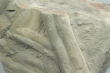Bilobites - Cruziana goldfussi (Rouault, 1850) - MIN.003094 -  Dimenses 30x22x20 cm