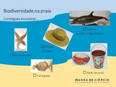 Atividade 7. Biodiversidade na praia