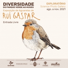 Diversidade - Do Parque Verde ao Museu