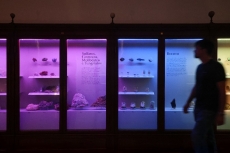 Museu da Ciência apresenta o novo projeto da Galeria de Minerais José Bonifácio D Andrada e Silva
