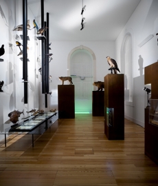 A Diversidade da Vida, 300 anos de Lineu